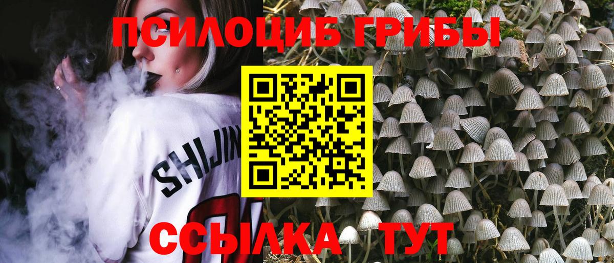 где можно купить   Псилоцибиновые грибы мицелий  Вход с VPN  Минеральные Воды 